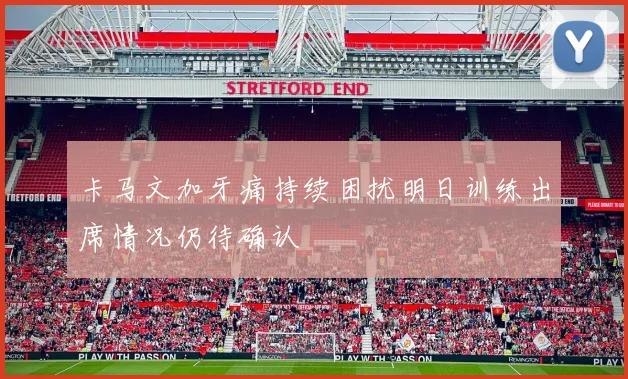卡马文加牙痛持续困扰明日训练出席情况仍待确认