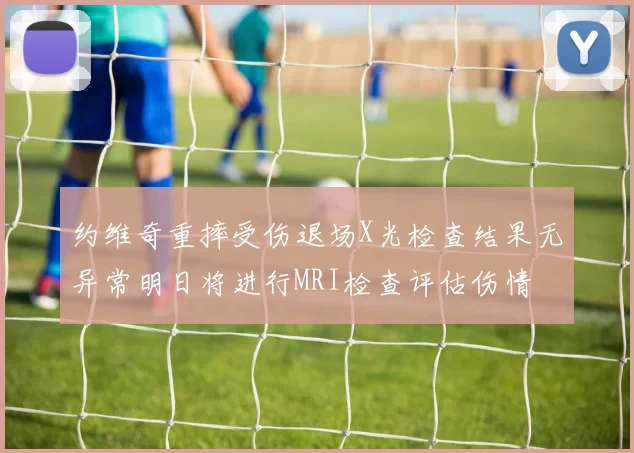 约维奇重摔受伤退场X光检查结果无异常明日将进行MRI检查评估伤情