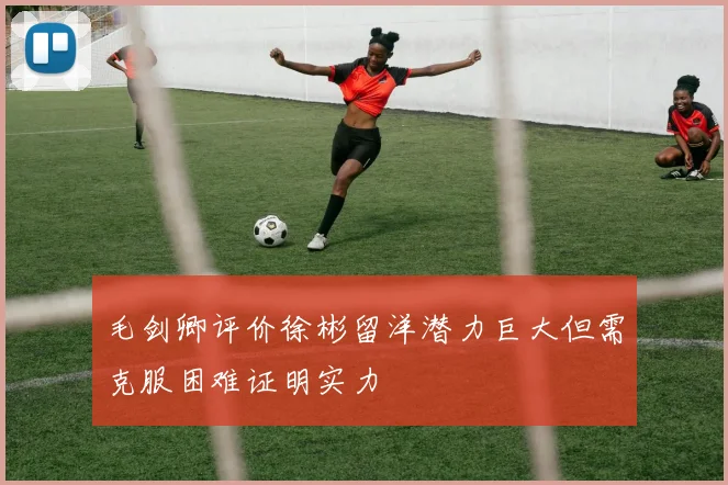 毛剑卿评价徐彬留洋潜力巨大但需克服困难证明实力
